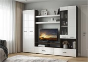 Гостиная Альфа МДФ 3990