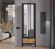 Шкаф с зеркалом Loft 4124