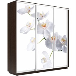 Шкаф-купе 3х дв с фотопечатью Орхидея Белая 2418