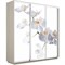Шкаф-купе 3х дв с фотопечатью Орхидея Белая 2418